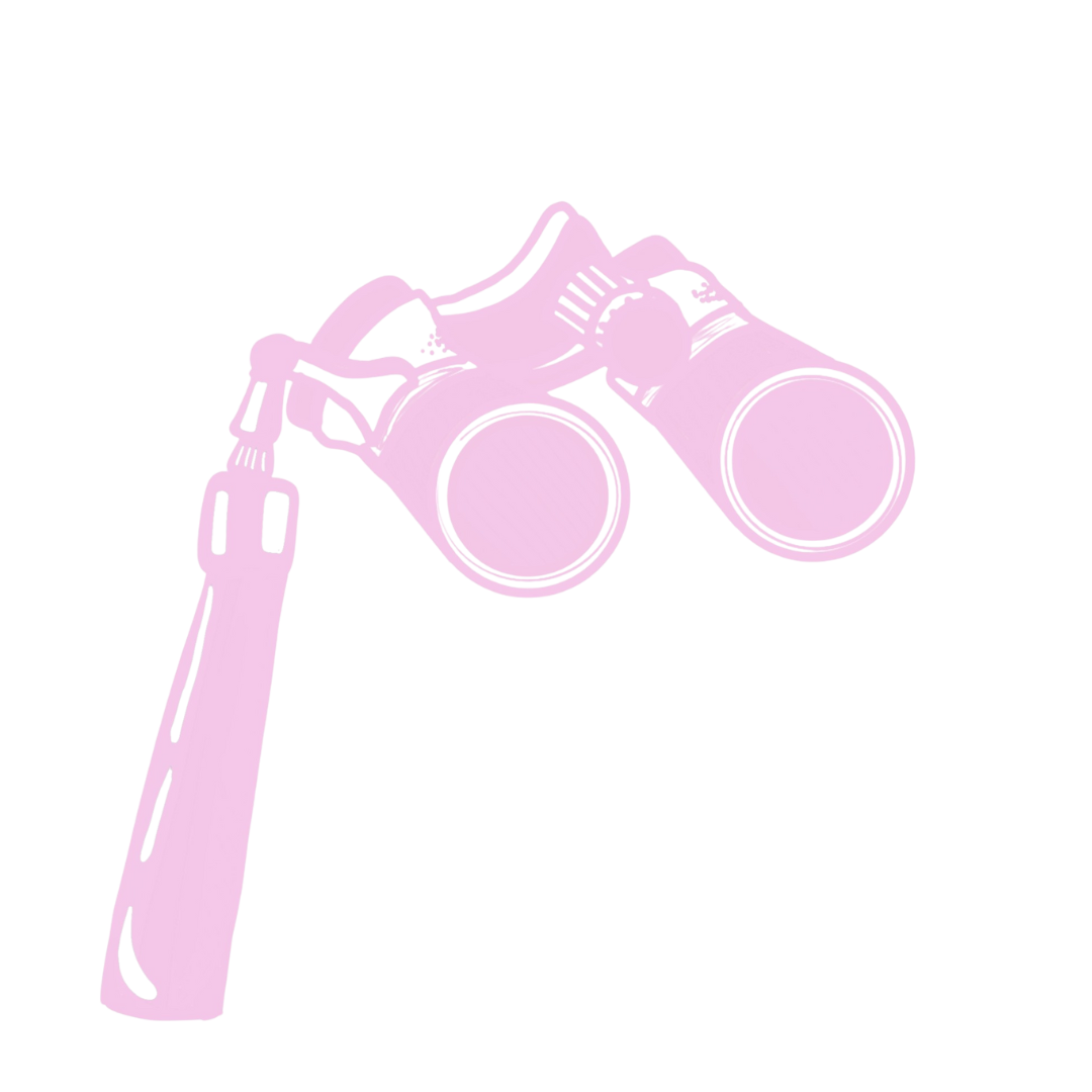 Opera glasses