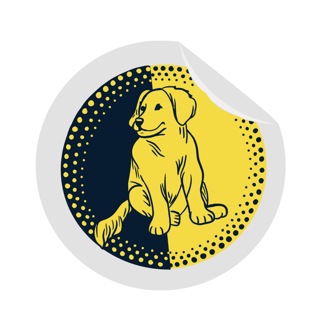 A golden retriever puppy