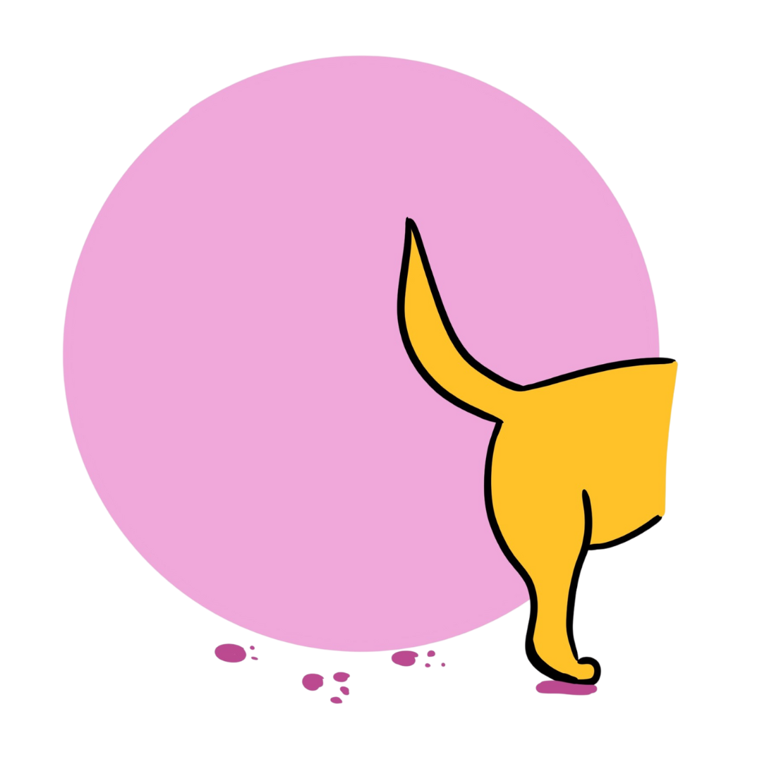 A dog's tail