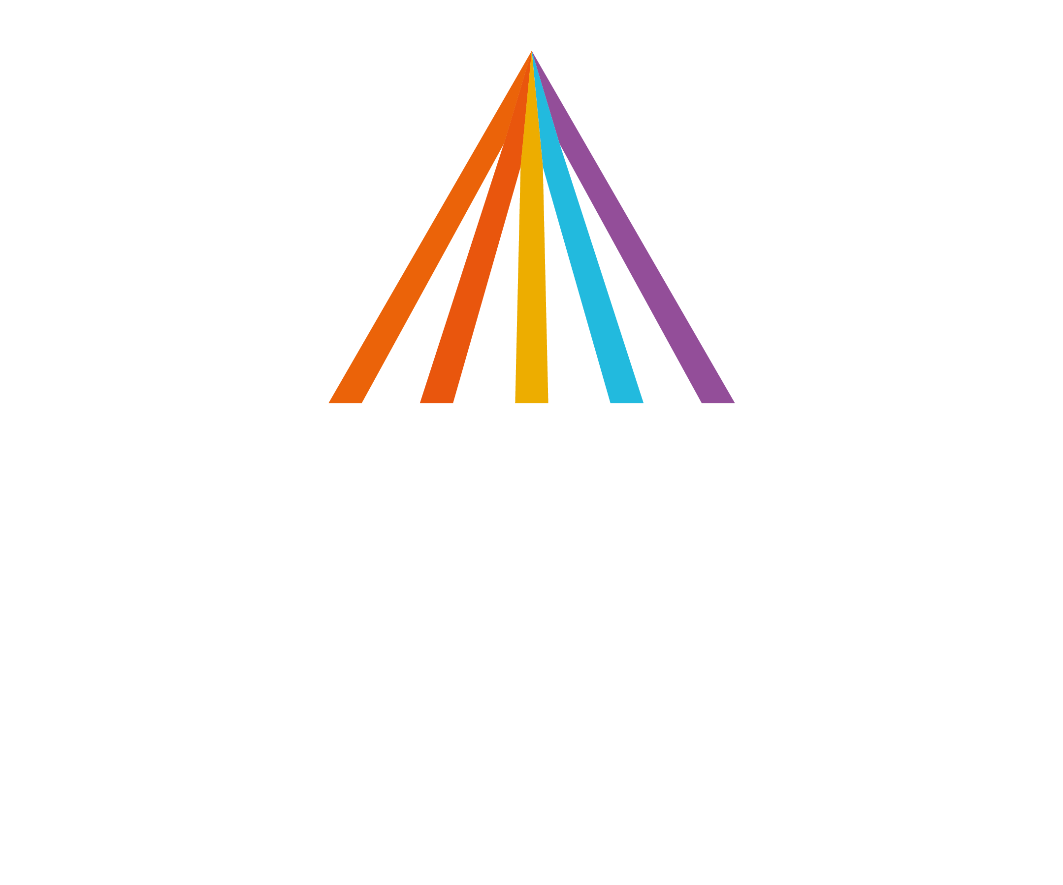 The Amelia