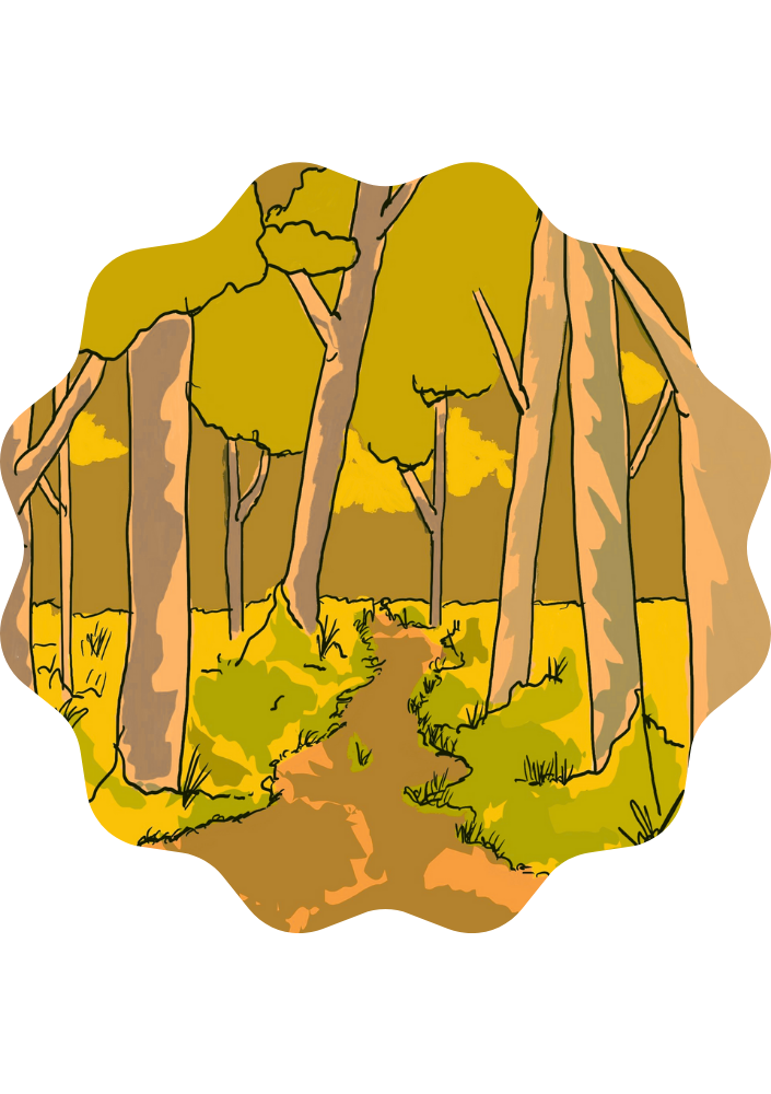 A forest