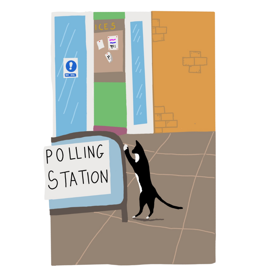 A cat at a polling station