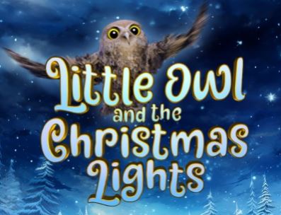 Little Owl and the Christmas Lights