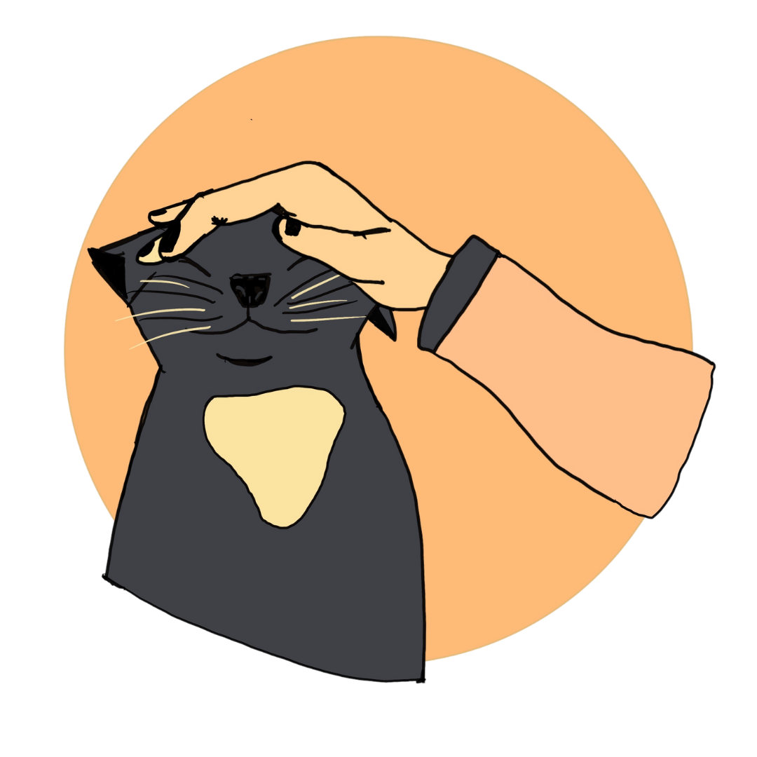 a hand rubbing a cat's head