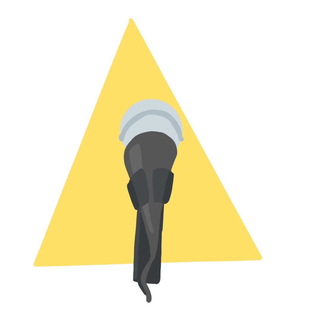 A microphone