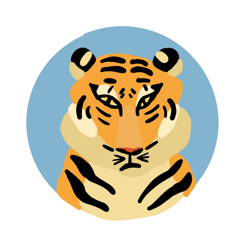 A tiger